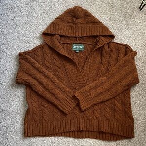 American Eagle Outfitters V-Neck Brown Sweater